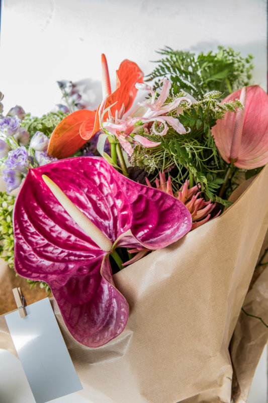 5 Anthurien Geschenktage zum Notieren für Ihren Kalender