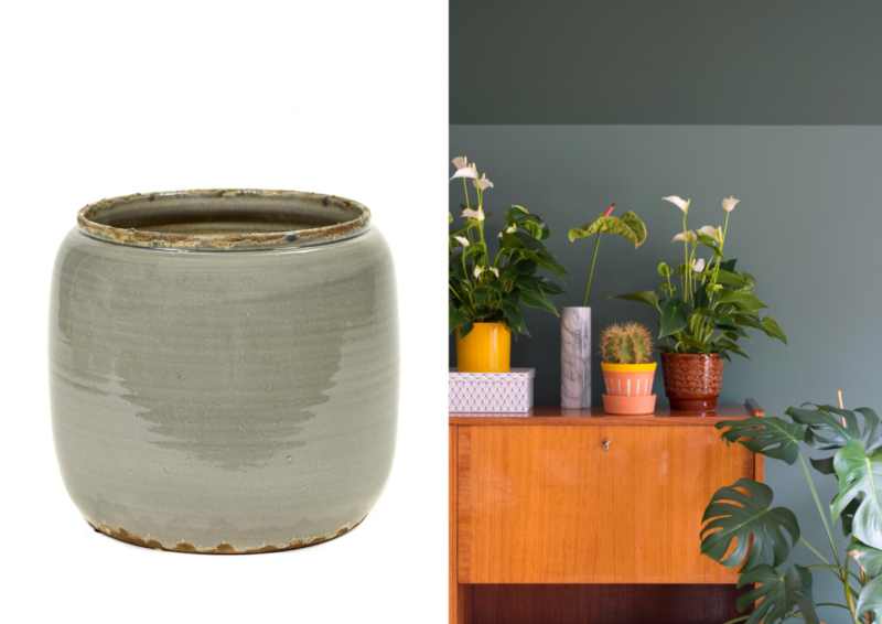 6 besondere Pflanzengefäße für Ihre Topfanthurie