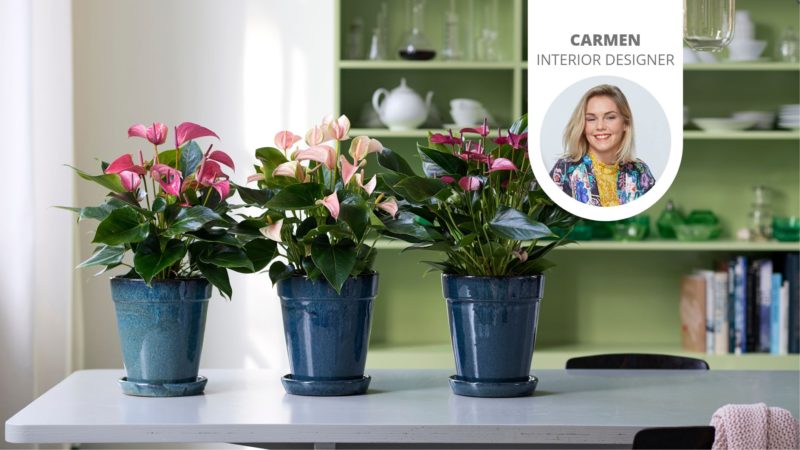 Die schönsten Badezimmer im Urban-Jungle-Look auf Instagram