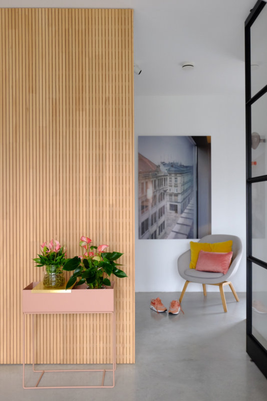 Die Topf-Anthurie nur in Wasser, in 3 unterschiedlichen Interieurs