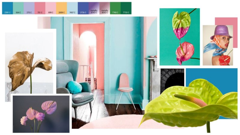 Die 4 Stiltrends des Jahres 2021 für den Zierpflanzensektor