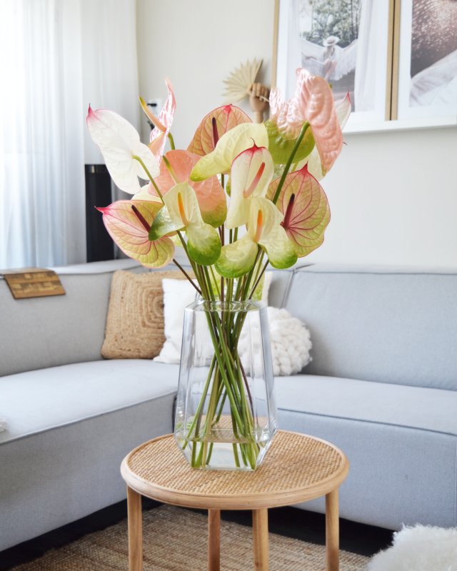 Interieur-Inspirationen mit Anthurien: Styling in 3 unterschiedlichen Interieurs