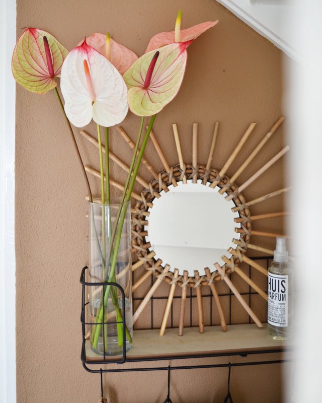 Interieur-Inspirationen mit Anthurien: Styling in 3 unterschiedlichen Interieurs