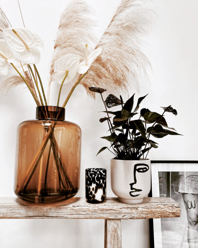 Interieur-Inspirationen mit Anthurien: Styling in 3 unterschiedlichen Interieurs