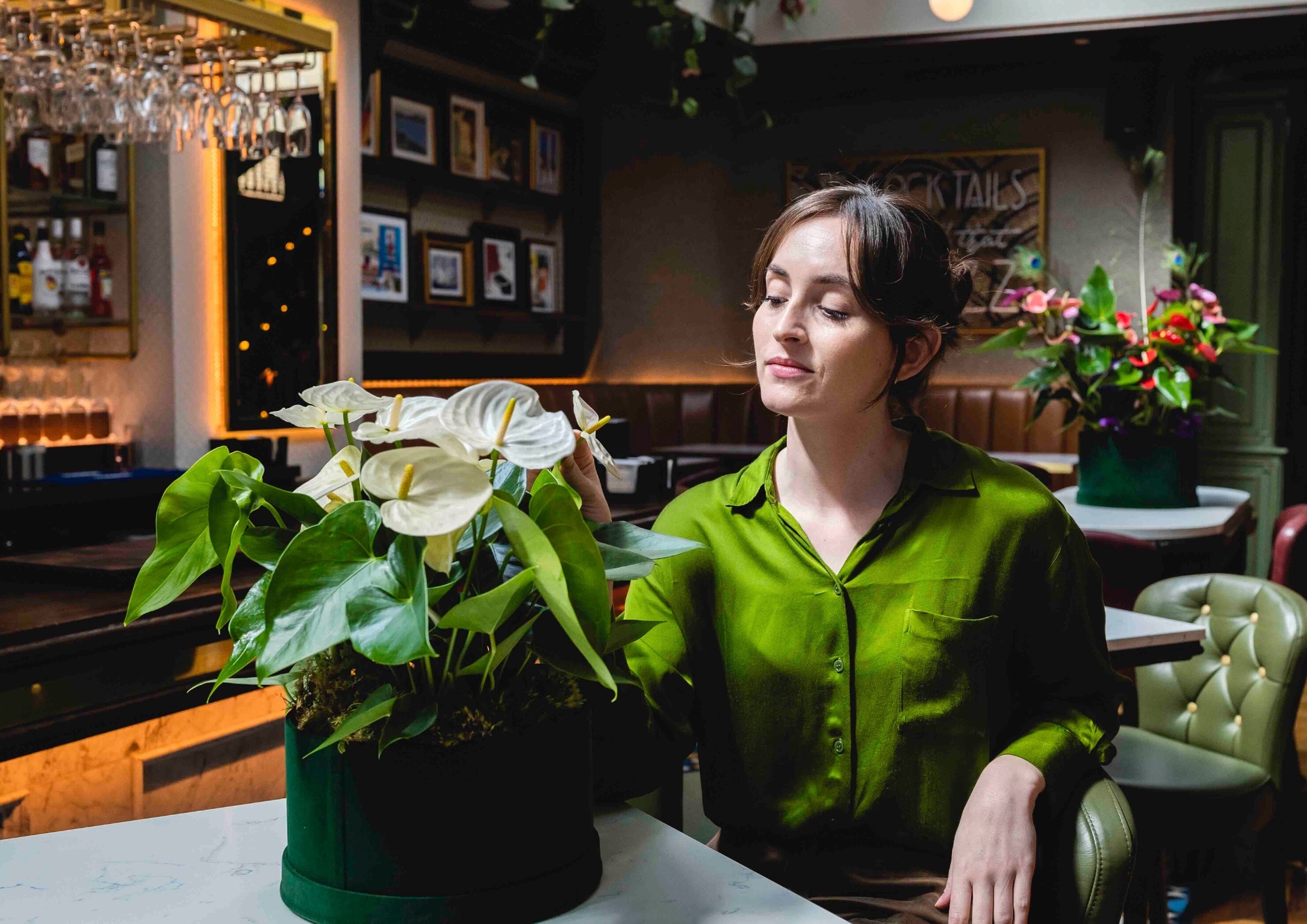 Anthurium Info Alles über Anthurium Topfpflanzen und Schnittblumen