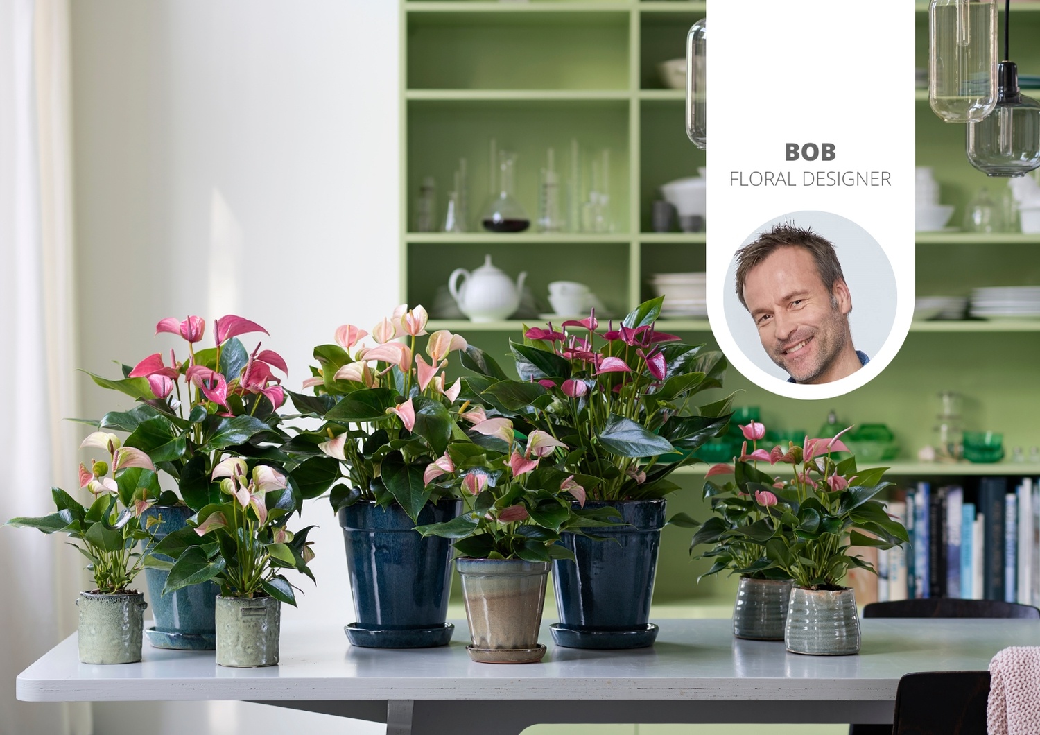 Wie stutzen Sie eine Anthurium-Pflanze? - Anthurium Deutsch