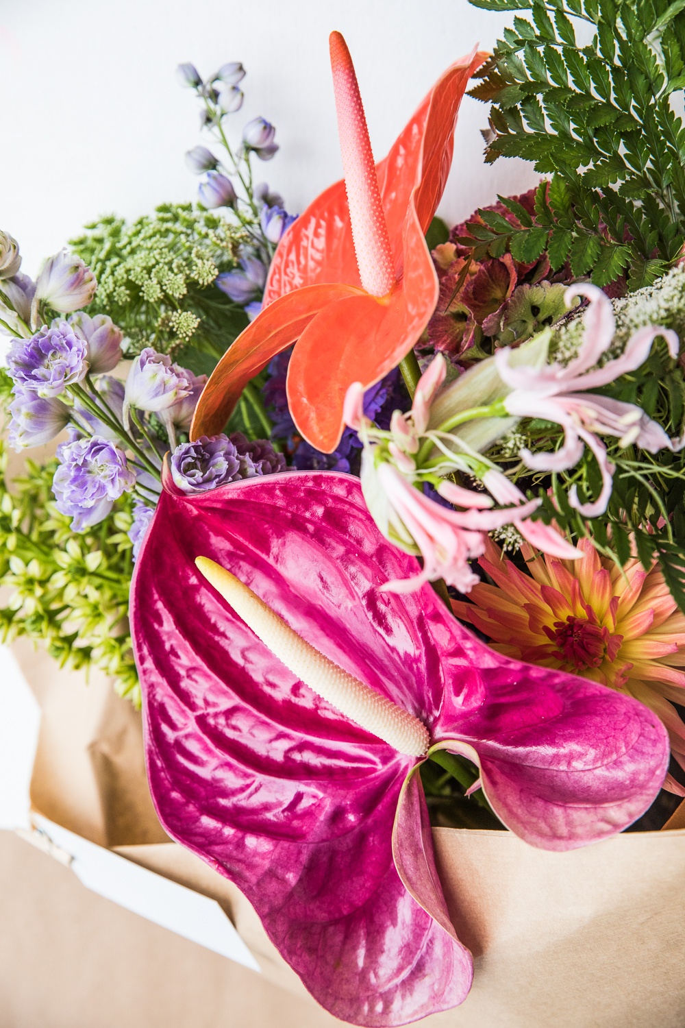 5 anthurium gift-giving days to note on your calendar