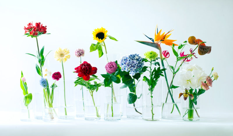 Flower arranging 2.0: How to create a beautiful bouquet