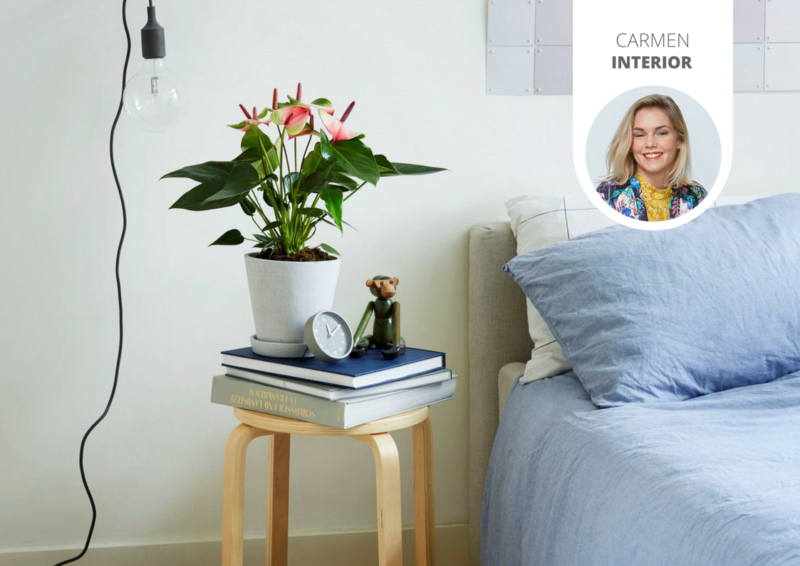 5 plants for a better night's sleep
