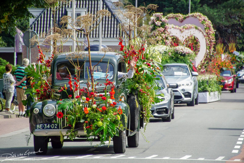 Flower Parade Rijnsburg 10th of August Anthurium English