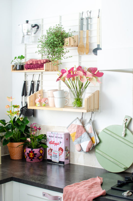 Anthuriums add colour to any kitchen