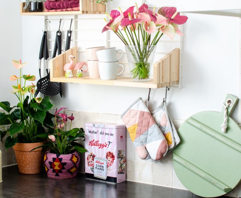 Anthuriums add colour to any kitchen