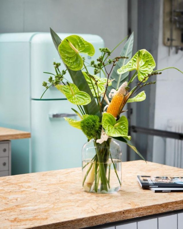 Here are the newest Anthurium plants and flowers