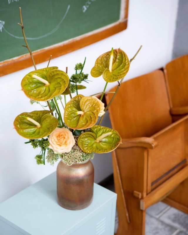 Here are the newest Anthurium plants and flowers