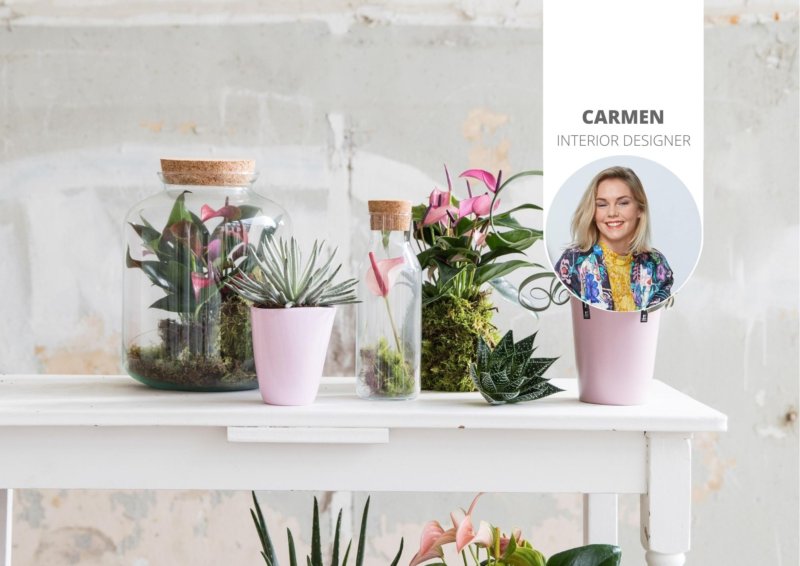 How to create a vacation vibe at home with plants