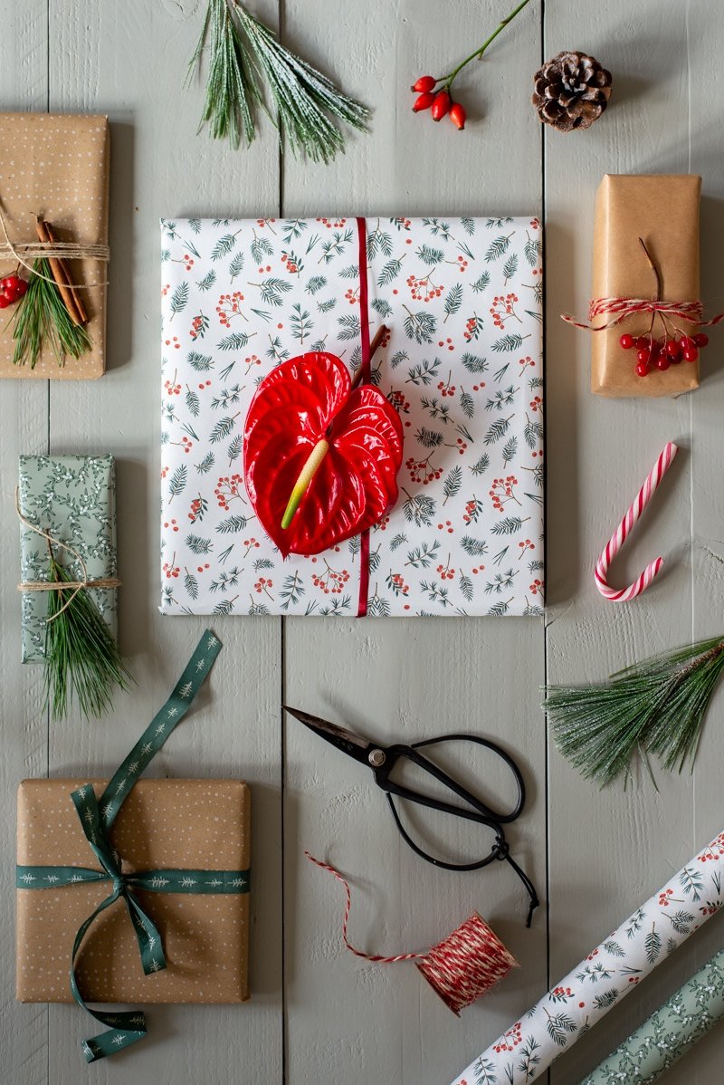 How to use Anthuriums to wrap gifts beautifully