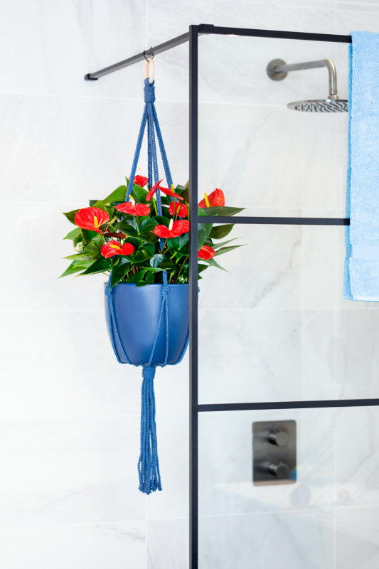 The bathroom trends of 2021: dark colors, plants and wooden accents