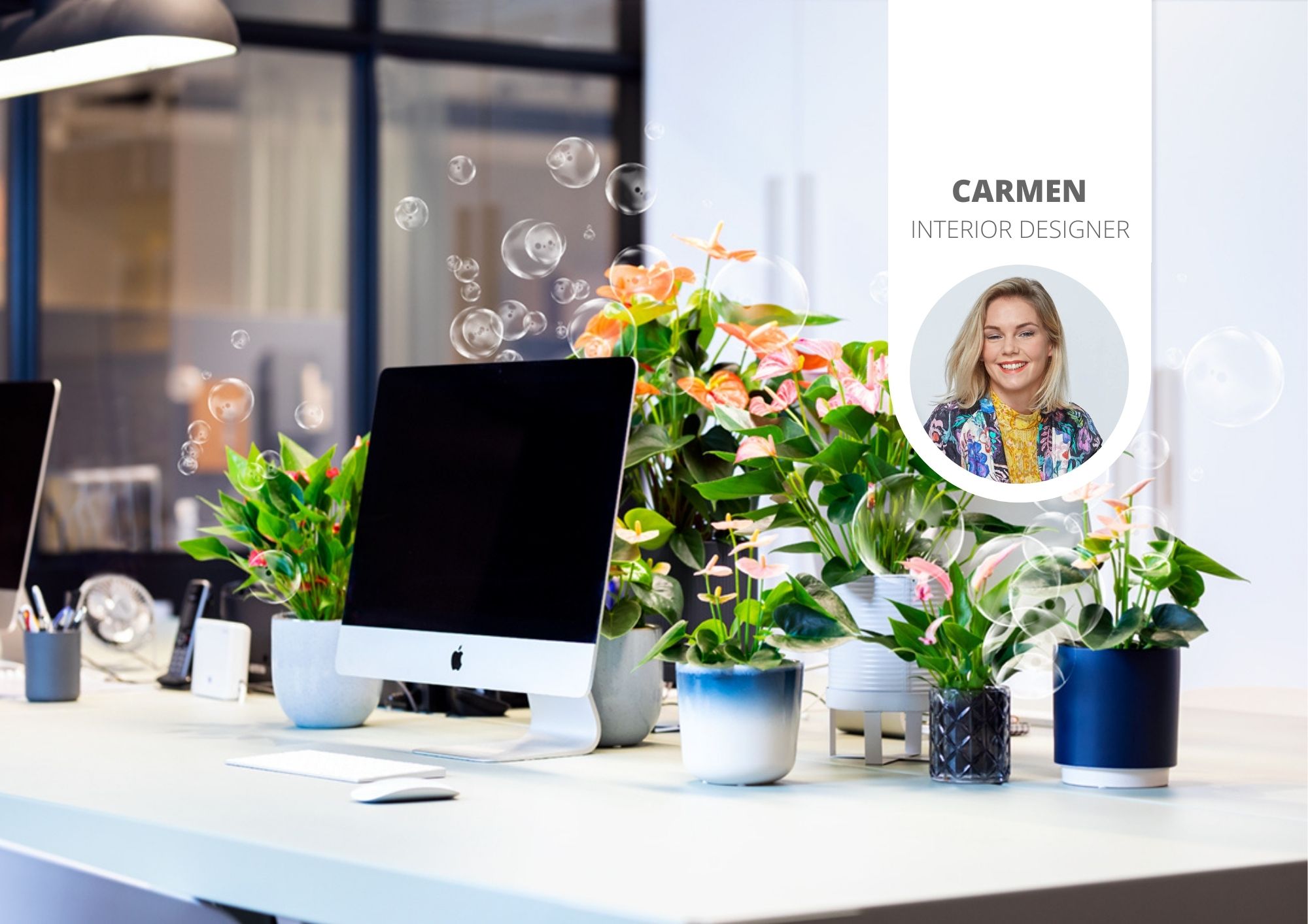 How to brighten up your home office with colourful Anthuriums