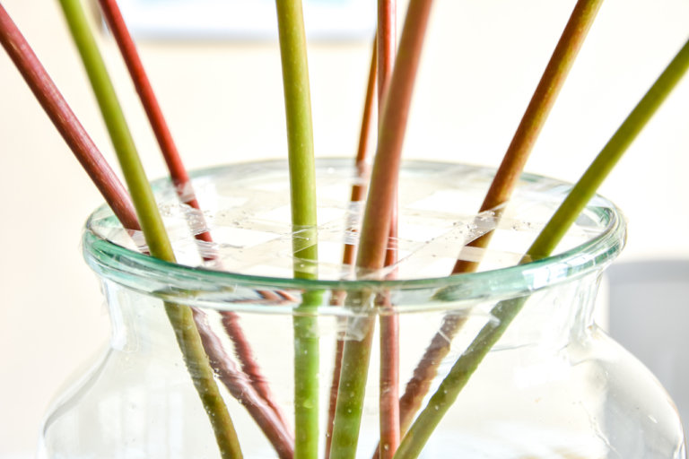 3x clever flower vase hacks to make flowers stand up straight