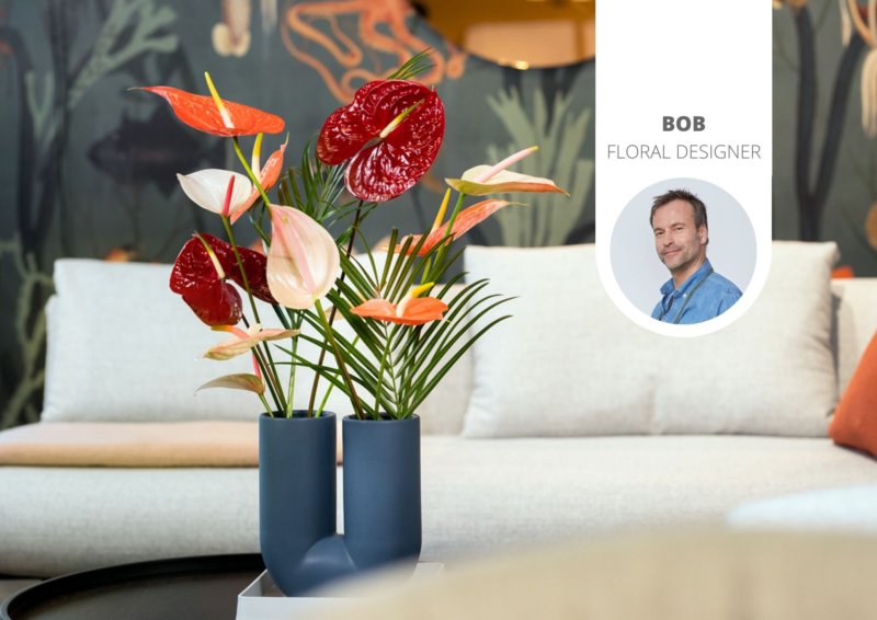 How to style colorful Anthurium flowers