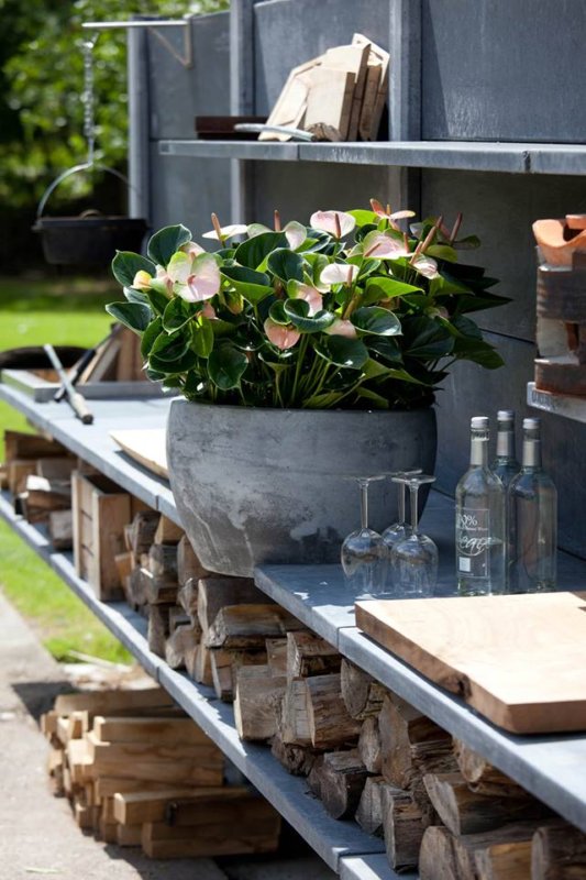 Can I put my potted Anthurium outside?