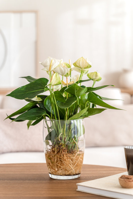 Organic Modern: the interior trend of 2022
