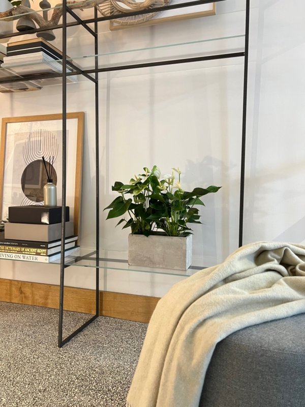 This is how blogger Dutchguy styles Anthuriums in his Amsterdam canalside house