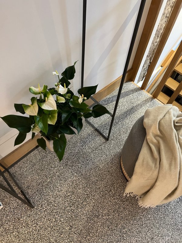 This is how blogger Dutchguy styles Anthuriums in his Amsterdam canalside house