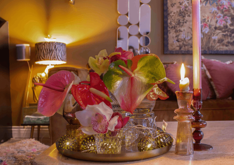 Christmas with colourful Anthuriums