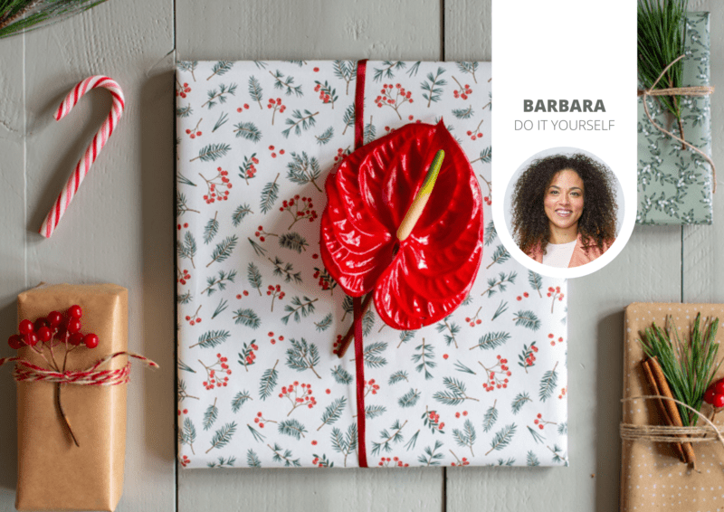 Christmas presents with Anthurium flowers