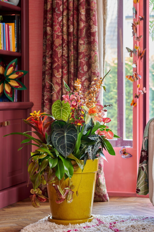 Horticulture Trends 2025: Unique Utopia