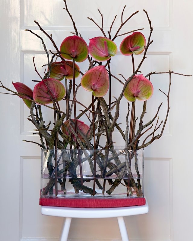 Une infinité d’anthuriums : voici les différentes formes