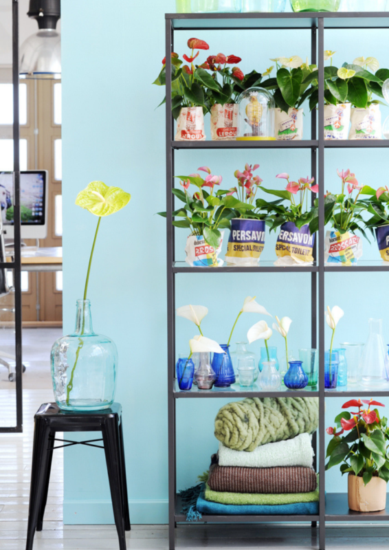 L’art floral avec des fleurs coupées d’anthurium : 3 idées