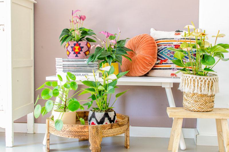 sentir en vacances