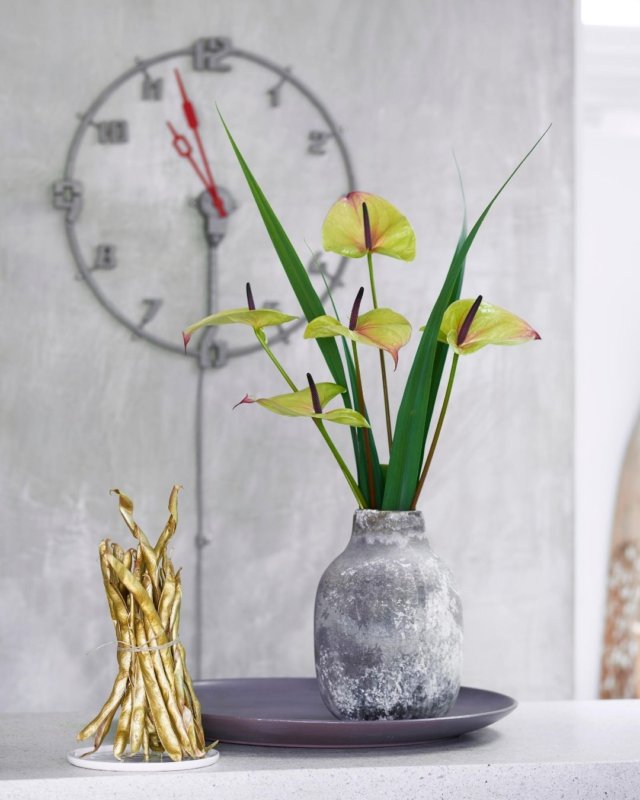 Voici les nouveaux anthuriums, en fleur coupé et en pot