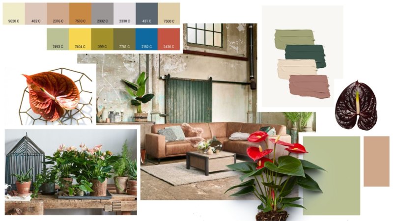 Les 4 styles tendance 2021 pour le secteur des plantes ornementales