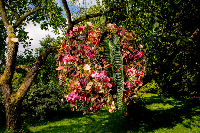 créations avec des anthuriums par le maître fleuriste Hanneke Frankema