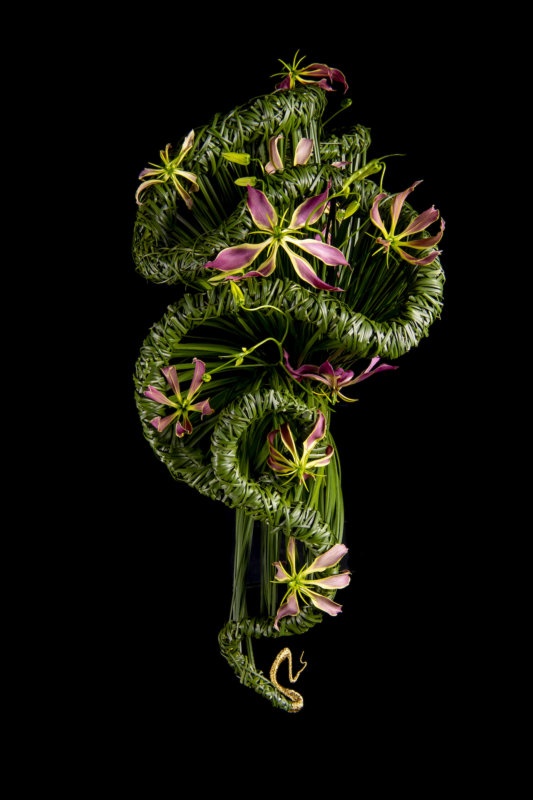 créations avec des anthuriums par le maître fleuriste Hanneke Frankema