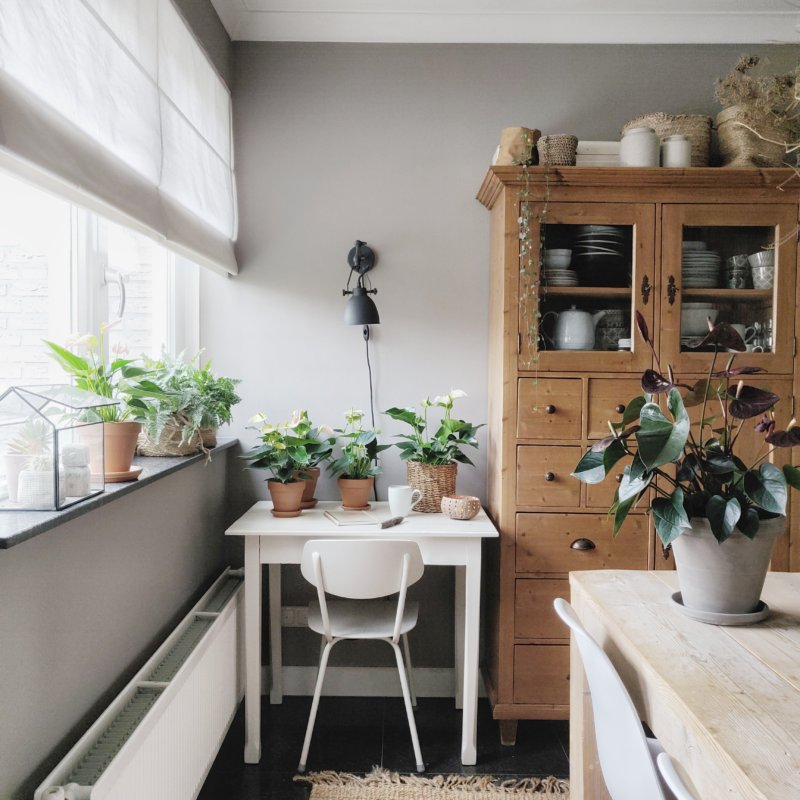 Inspiration anthurium : pour 3 intérieurs différents