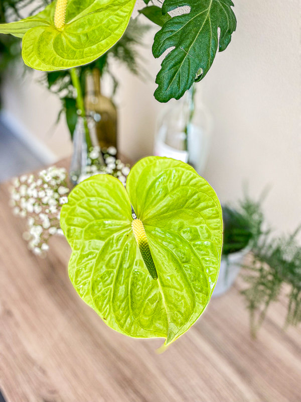 Upcycler des bouteilles en vases