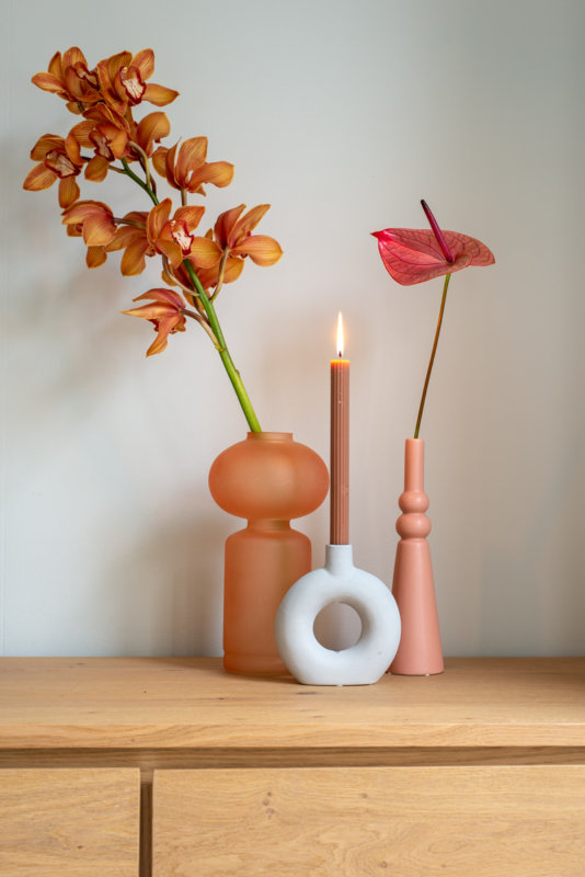 Des anthuriums dans la maison de la blogueuse de Remade with Love