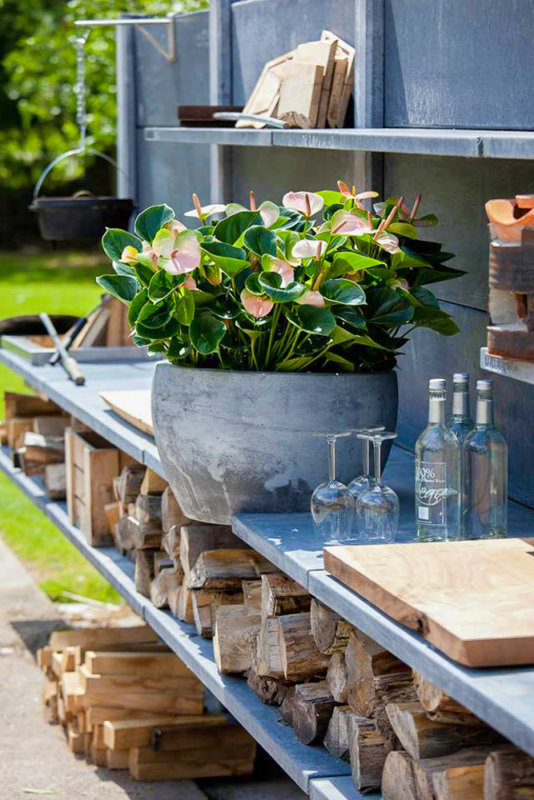 Est-ce que l’anthurium peut se mettre dehors ?