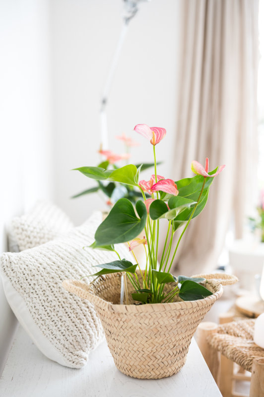 5x idées originales de pots de fleurs ou de cache-pots