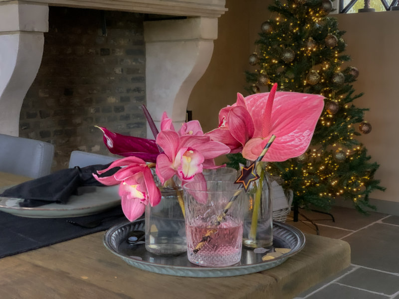 Festive avec l'anthurium et le cymbidium