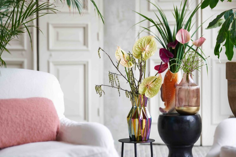 plus de couleur dans la maison