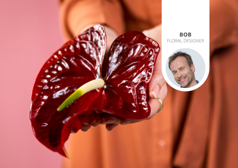 Dites-le avec des anthuriums