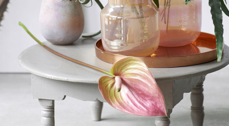 Zo gebruik je bloemen om cadeaus mooi in te pakken