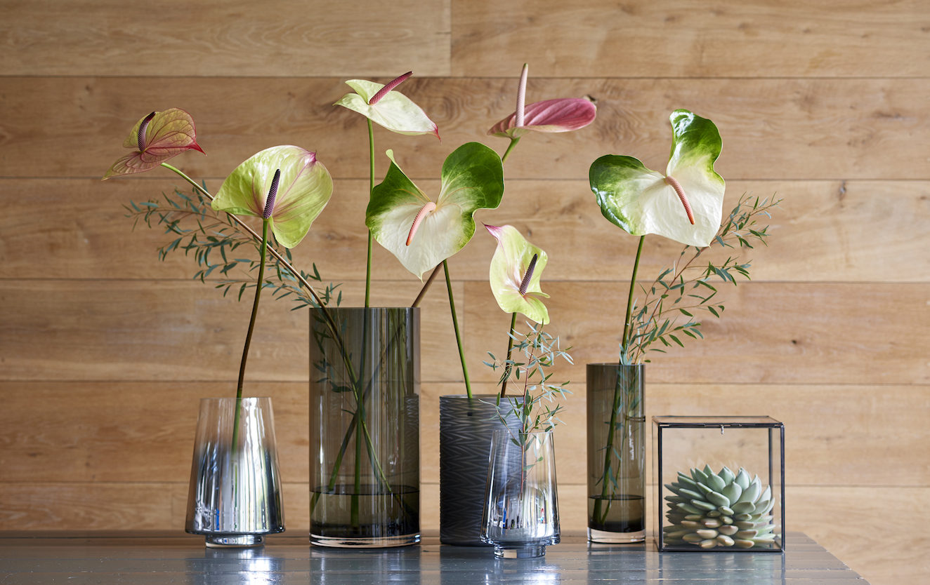 Verwonderlijk fotos-van-bloemen-maken-anthurium-fotografie-fotograferen - Anthurium UP-11