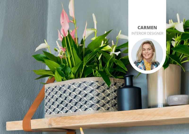 6 manieren om je planten mooi neer te zetten