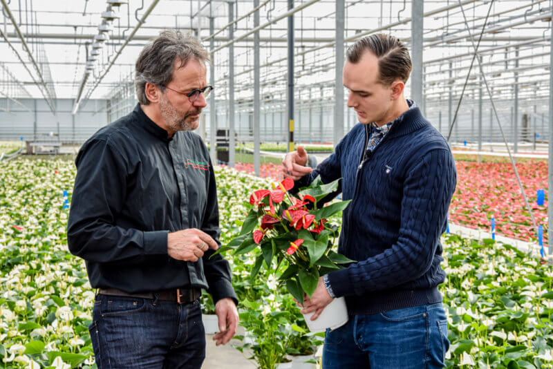Floral Designer Paul Deckers laat plannen zien aan anthuriumkwekers02